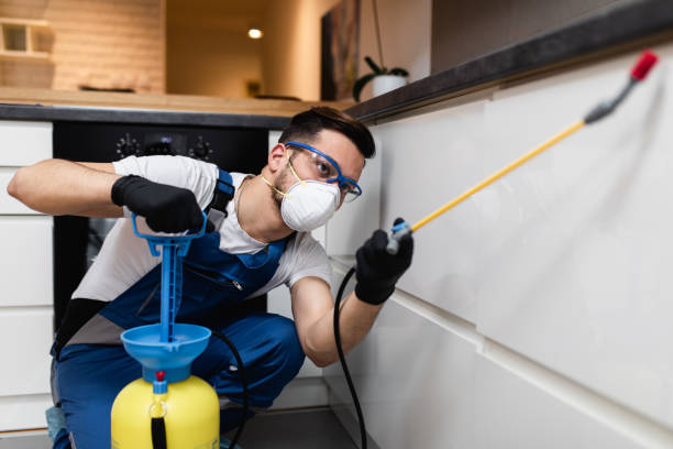 Best Cockroach Control Services  in Trussville, AL