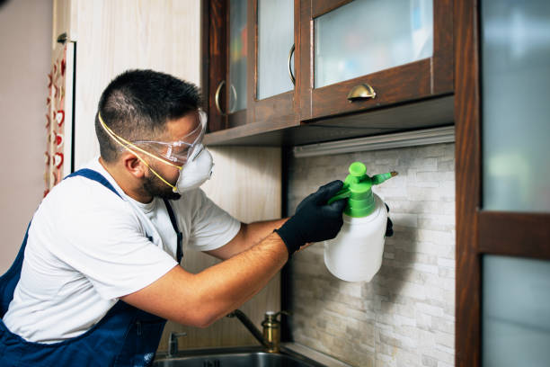 Best Affordable Pest Control Services  in Trussville, AL
