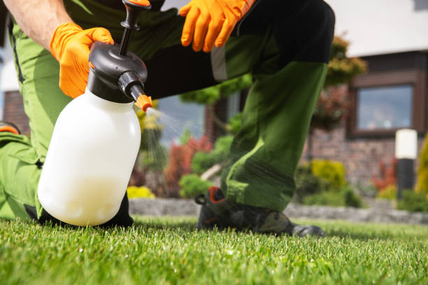Best Rat Extermination Near Me  in Trussville, AL