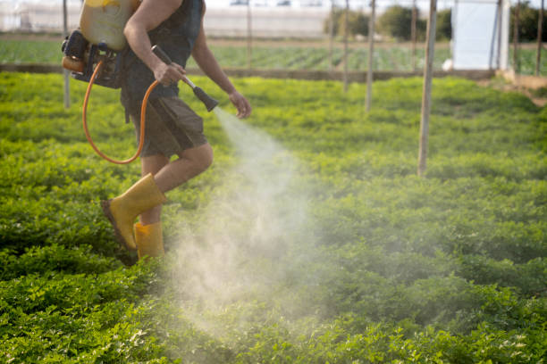 Best Pest Control Cost  in Trussville, AL