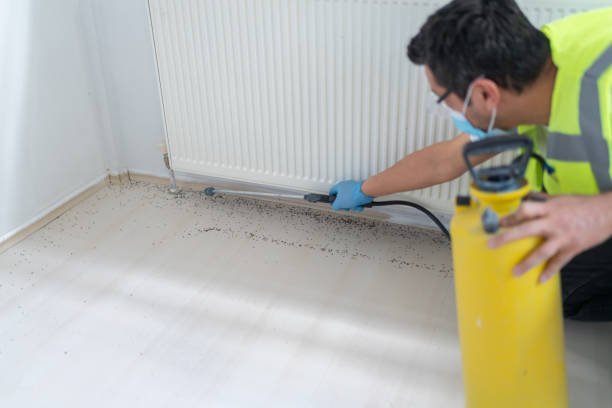 Pest Control Cost in Trussville, AL