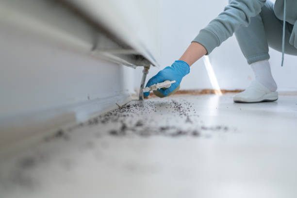 Best Wildlife Control Services  in Trussville, AL