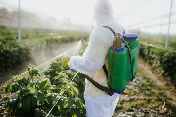 Best Pest Removal Services  in Trussville, AL
